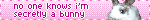 bunny